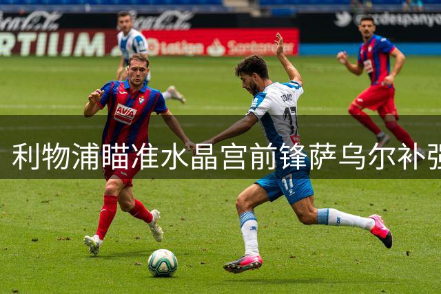 利物浦瞄准水晶宫前锋萨乌尔补强进攻线